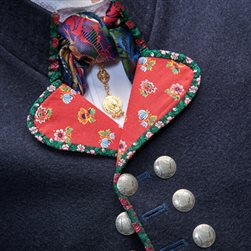 Detaljer vest